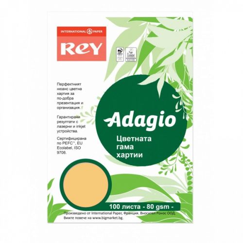 Копирна хартия REY Adagio, A4, 80 г, наситен цвят Beige (98), пакет 100 л. — Joya.bg