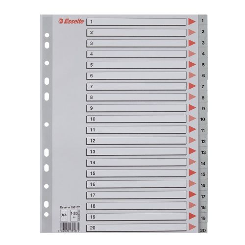 Разделител Esselte, 1-20, PP 120 mic, A4, сив, подсилена европерфорация, лицева страница — Joya.bg 1