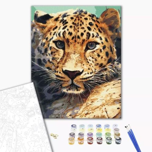 Рисуване по номера BrushMe, с подрамка, LEOPARD/Леопард, 40x50 см — Joya.bg 1