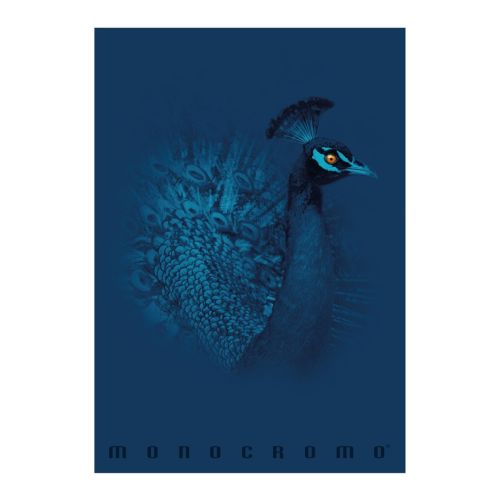 Тетрадка PIGNA Monocromo Blue, А4, 40 л., линиран офсет 100 г, корица 240 г, мат ламинат, UV лак 1
