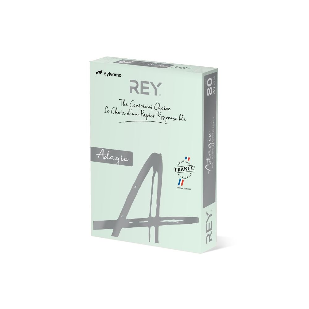 Копирна хартия REY Adagio, A4, 80 г, пастелен цвят Pistachio (33), пакет 500 л.