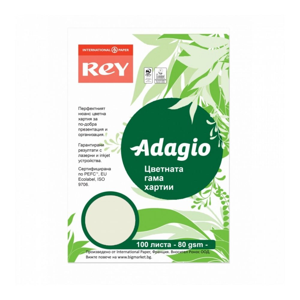 Копирна хартия REY Adagio, A4, 80 г, пастелен цвят Pistachio (33), пакет 100 л. Копирна хартия REY Adagio, A4, 80 г, пастелен цвят Pistachio (33), пакет 100 л.