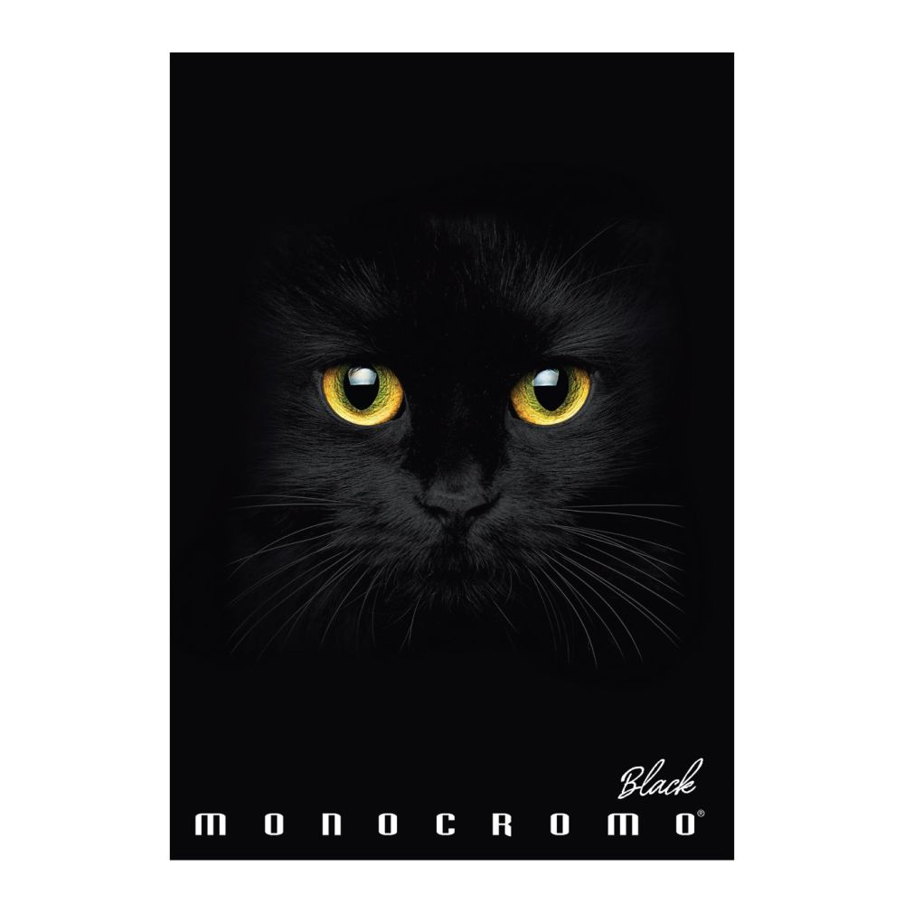 Тетрадка PIGNA Monocromo Black, А4, 40 л., линиран офсет 100 г, корица 240 г, мат ламинат, UV лак
