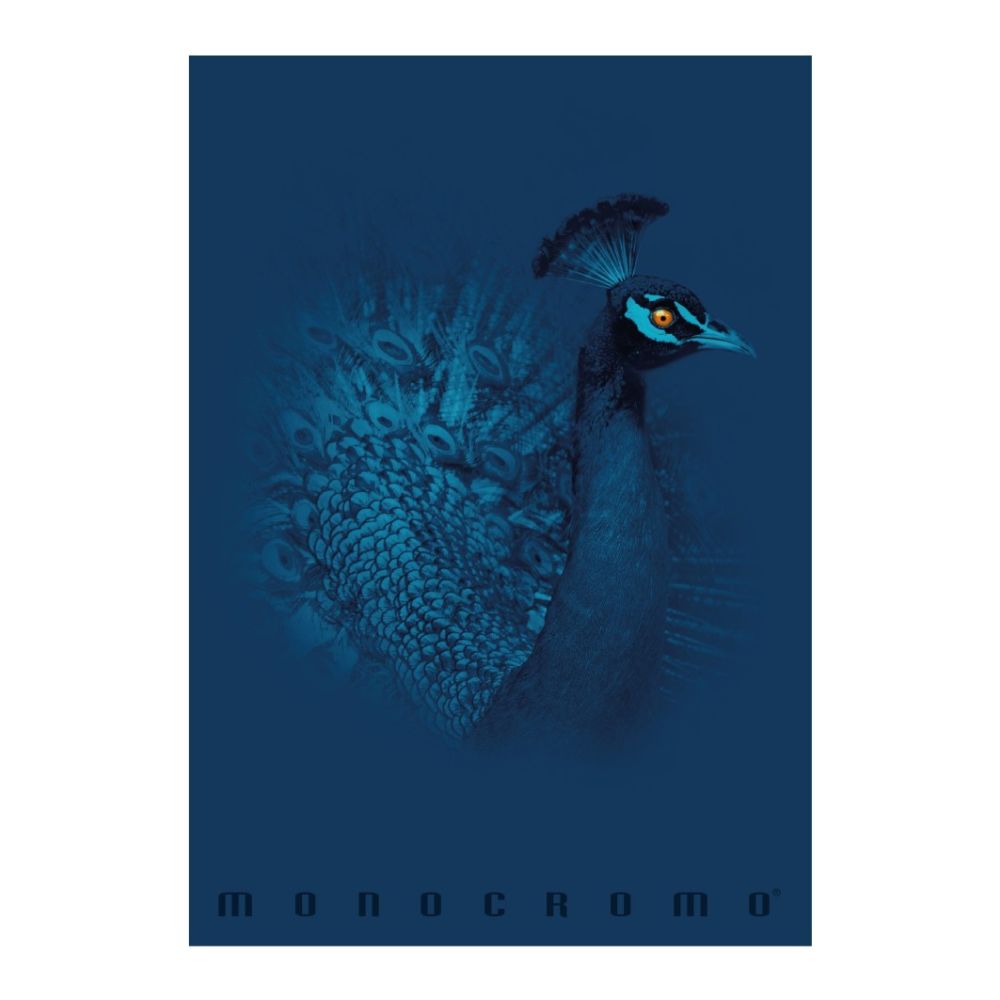 Тетрадка PIGNA Monocromo Blue, А4, 40 л., линиран офсет 100 г, корица 240 г, мат ламинат, UV лак